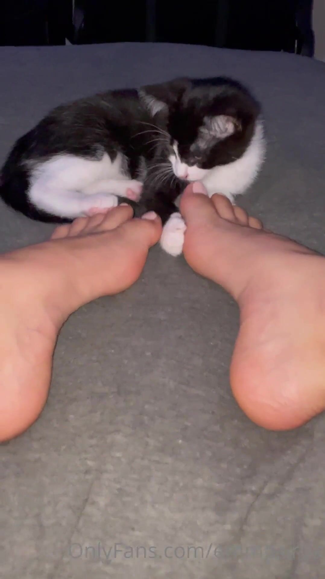 emmasirus 30 06 2021 2149589638 i think my kitten has a small foot fetish i hope you re not too jealous of my feet onlyfans xxx porn videos