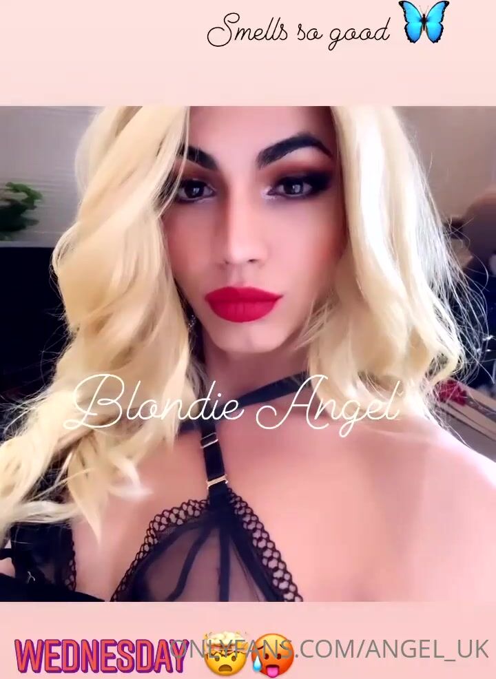 angel uk blondie angel is back